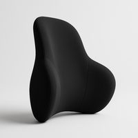 Memory Foam Lumbar Cushion